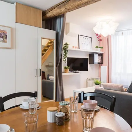 Charming Two-bedroom Duplex Saxe Gambetta * Lione